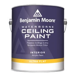 Interior Ceiling Paint